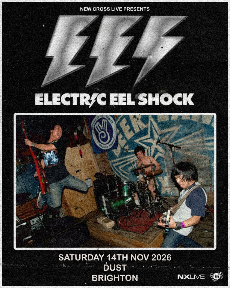 Electric Eel Shock | Brighton