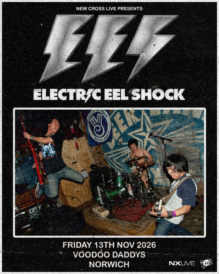 Electric Eel Shock | Voodoo Daddys Showroom