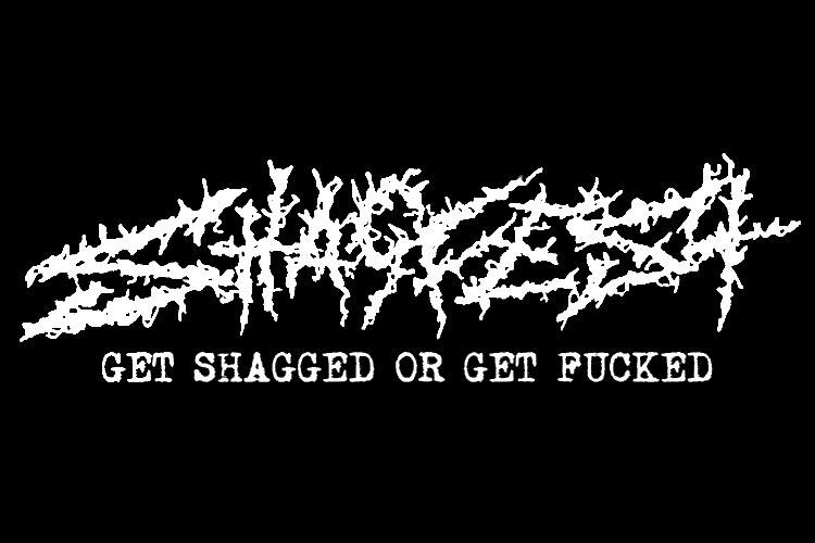 SHAGFEST No.3