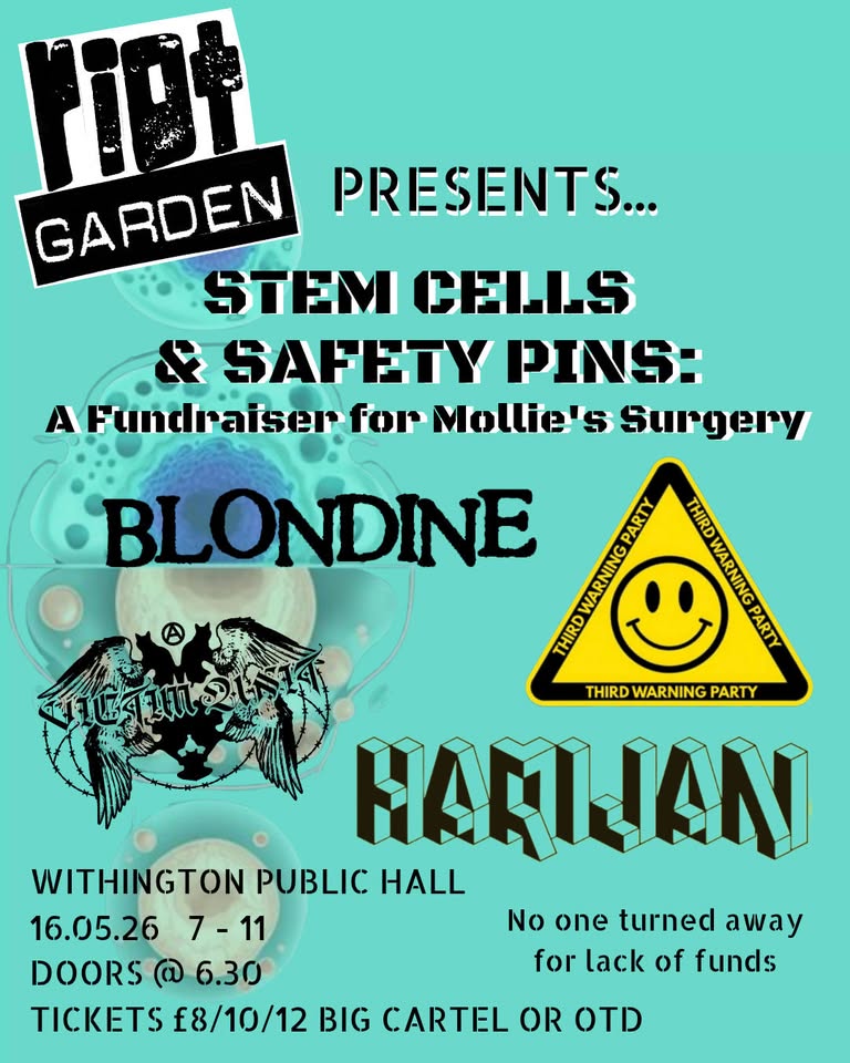 STEM CELLS AND SAFETY PINS: A Fundraiser for Mollie's Surgery
